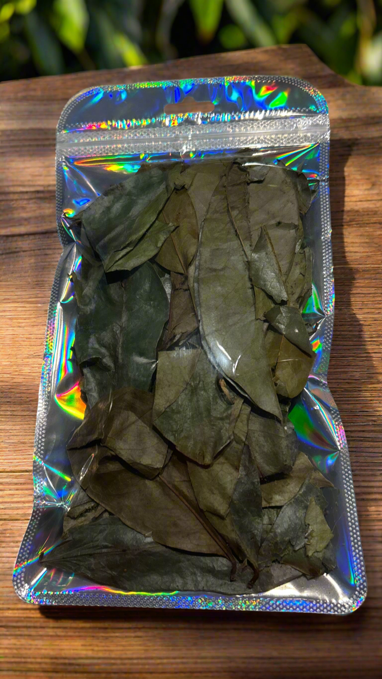🌱 Soursop Leaves (Graviola) – 100% Natural & Wildcrafted