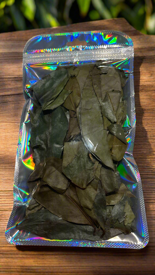 🌱 Soursop Leaves (Graviola) – 100% Natural & Wildcrafted
